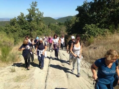 Santa Rosa - Vitorchiano - In cammino sulle vie dell’esilio - 2013