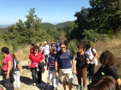 Santa Rosa - Vitorchiano - In cammino sulle vie dell’esilio - 2013