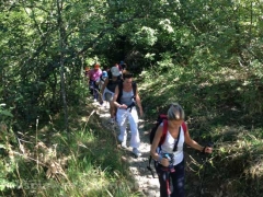 Santa Rosa - Vitorchiano - In cammino sulle vie dell’esilio - 2013