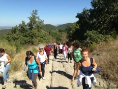 Santa Rosa - Vitorchiano - In cammino sulle vie dell’esilio - 2013