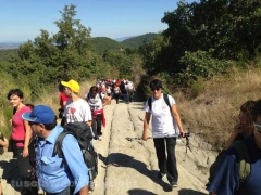 Santa Rosa - Vitorchiano - In cammino sulle vie dell’esilio - 2013