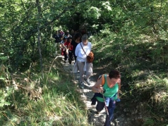 Santa Rosa - Vitorchiano - In cammino sulle vie dell’esilio - 2013