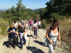 Santa Rosa - Vitorchiano - In cammino sulle vie dell’esilio - 2013