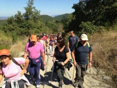Santa Rosa - Vitorchiano - In cammino sulle vie dell’esilio - 2013