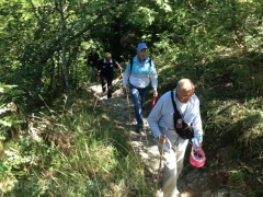 Santa Rosa - Vitorchiano - In cammino sulle vie dell’esilio - 2013