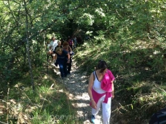 Santa Rosa - Vitorchiano - In cammino sulle vie dell’esilio - 2013