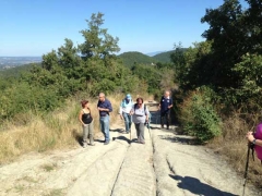 Santa Rosa - Vitorchiano - In cammino sulle vie dell’esilio - 2013