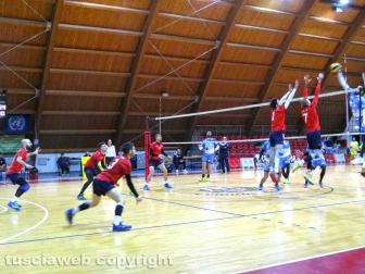 Volley club Orte - Anguillara