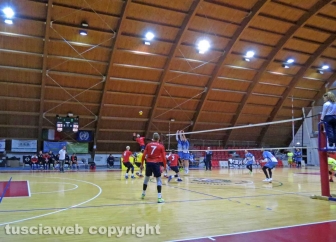 Volley club Orte - Anguillara