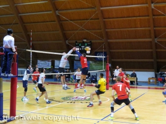 Sport - Volley - Volley Club Orte - Scarabeo Civita Castellana