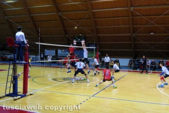 Sport - Volley - Volley Club Orte - Scarabeo Civita Castellana