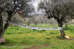 Volontari puliscono il parco di santa Barbara