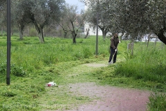 Volontari puliscono il parco di santa Barbara