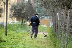 Volontari puliscono il parco di santa Barbara