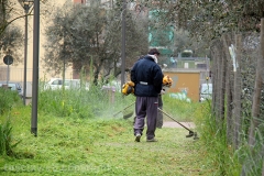 Volontari puliscono il parco di santa Barbara