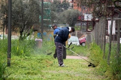 Volontari puliscono il parco di santa Barbara