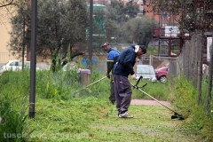 Volontari puliscono il parco di santa Barbara