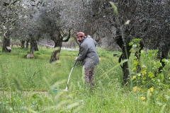 Volontari puliscono il parco di santa Barbara
