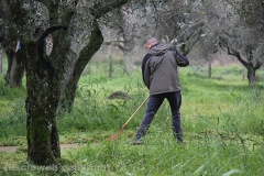 Volontari puliscono il parco di santa Barbara