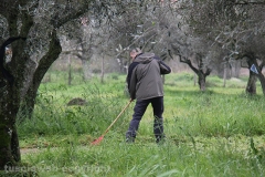 Volontari puliscono il parco di santa Barbara