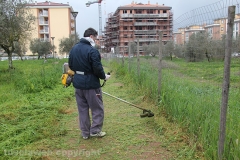 Volontari puliscono il parco di santa Barbara
