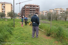 Volontari puliscono il parco di santa Barbara