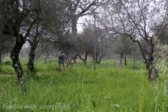Volontari puliscono il parco di santa Barbara