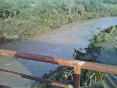Vulci