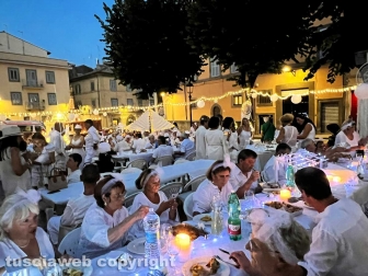 White dinner
