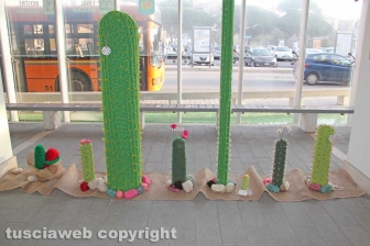 Viterbo - La mostra di Yarn bombing