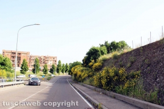 Zona Nord