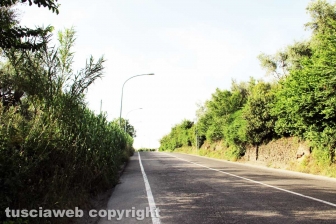 Zona Nord
