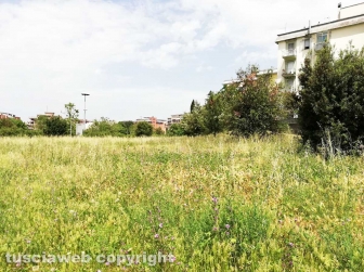 Zona Nord