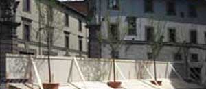 alberi_prima