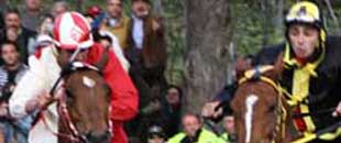 Palio di Sant'Anselmo