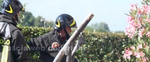 I vigili del fuoco in azione