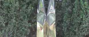 Viterbo - Orto botanico