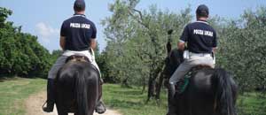 polizia locale a cavallo