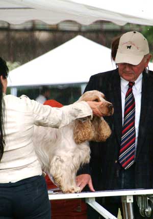 La mostra canina a Valle Faul