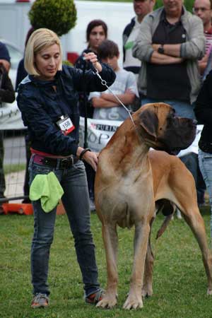 La mostra canina a Valle Faul