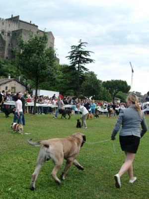 La mostra canina a Valle Faul