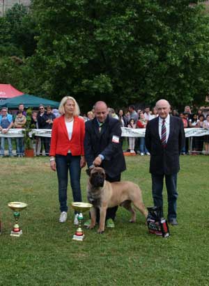 La mostra canina a Valle Faul