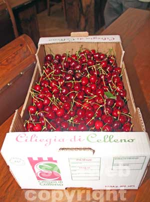 Le ciliegie di Celleno