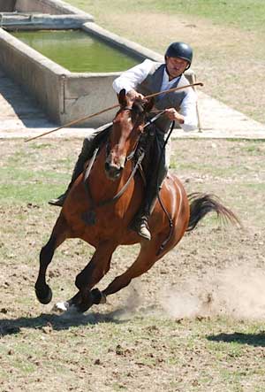 Fantino a cavallo