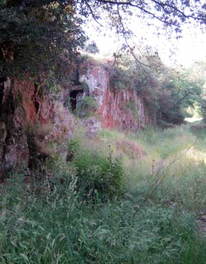 Via Amerina prima della ripulitura