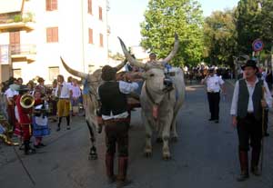 Le cene in cantina a Vetralla