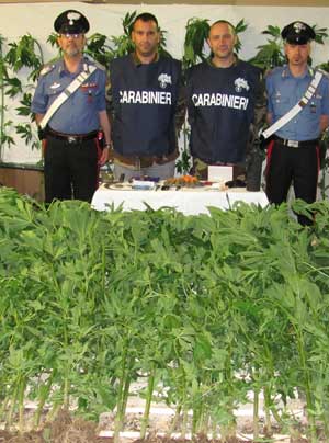 I carabinieri con le piante di marijuana sequestrate