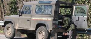 La forestale in azione