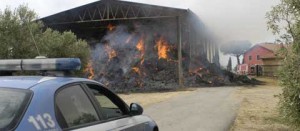 L'incendio a Tarquinia