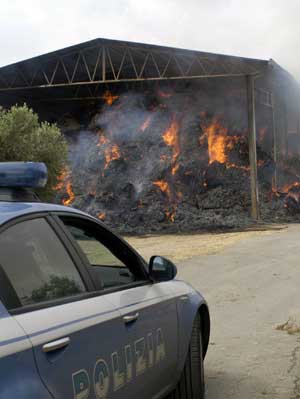 L'incendio a Tarquinia